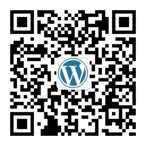 李凡雁海外数字营销公众号